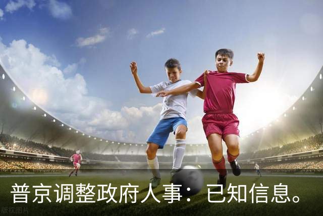 普京调整政府人事：已知信息。